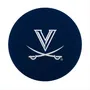 Logo Brands Virginia High Bounce Ball 234-95Hb Virginia Cavaliers