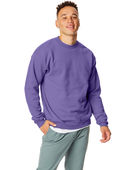 Hanes Unisex Ecosmart 50/50 Crewneck Sweatshirt PURPLE Primary