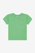 Bella+Canvas Toddler Triblend Short Sleeve Tee GREEN TRIBLEND Primary