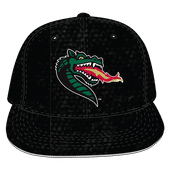 W Republic Velvet Snapback Cap Uab Blazers 1024-101