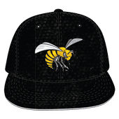 W Republic Velvet Snapback Cap Alabama State Hornets 1024-102