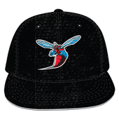 W Republic Velvet Snapback Cap Delaware State University Hornets 1024-120
