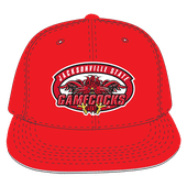W Republic Velvet Snapback Cap Jacksonville State Gamecocks 1024-126