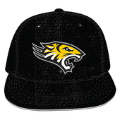 W Republic Velvet Snapback Cap Towson Tigers 1024-153