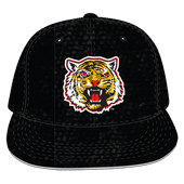 W Republic Velvet Snapback Cap Grambling State Tigers 1024-170
