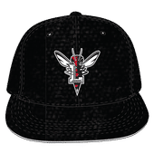 W Republic Velvet Snapback Cap Lynchburg Hornets 1024-179