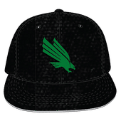 W Republic Velvet Snapback Cap North Texas Mean Green 1024-195