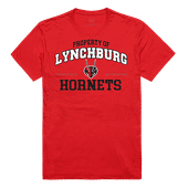 W Republic Property Tee Shirt Lynchburg Hornets 517-179