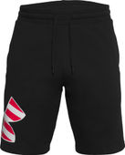 Under Armour Men's Freedom Rival Big Flag Logo Shorts 1360442