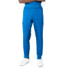 Landau Proflex Seven-Pocket Jogger Scrub Pants For Men 2100-PRV