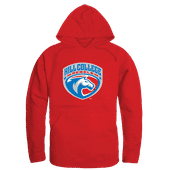 W Republic The Freshman Hoodie Hill College Rebels 512-523