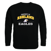 W Republic Property Of Crewneck Ashland Eagles 545-476