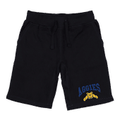 W Republic Premium Shorts North Carolina A&T Aggies 567-470