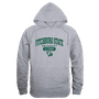 W Republic Fitchburg State Falcons Alumni Hoodie 561-519 HEATHER GREY Primary