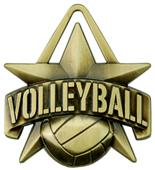 Hasty Awards 2" All-Star Volleyball Medals M-790V Hasty Awards 2" All-Star Volleyball Medals M-790V