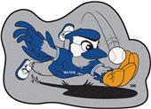 Fan Mats MLB Toronto Blue Jays Mascot Mat Fan Mats MLB Toronto Blue Jays Mascot Mat