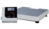 Rice Lake Digital Physician Floor Level Scale Rice Lake Digital Physician Floor Level Scale