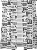 Northwest NCAA Missouri Anthem Window Panels Pair Northwest NCAA Missouri Anthem Window Panels Pair