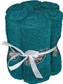 Northwest NFL Eagles Washcloths - 6 pack Northwest NFL Eagles Washcloths - 6 pack