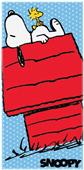 Northwest Peanuts Dog House Beach Towel Northwest Peanuts Dog House Beach Towel
