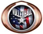 Hasty Award Halo Volleyball Liberty Insert Medal Hasty Award Halo Volleyball Liberty Insert Medal