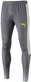 Puma Evotrg Mens Tech Soccer Pants Puma Evotrg Mens Tech Soccer Pants