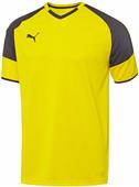 Puma Mens Borussia Short Sleeve Soccer Jersey Puma Mens Borussia Short Sleeve Soccer Jersey