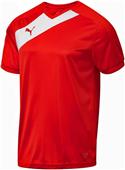 Puma Mens Santiago TG Short Sleeve Soccer Jersey Puma Mens Santiago TG Short Sleeve Soccer Jersey