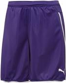 Puma Womens Speed Soccer Shorts Puma Womens Speed Soccer Shorts