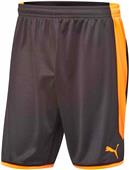 Puma Mens Goalkeeping Soccer Shorts Puma Mens Goalkeeping Soccer Shorts