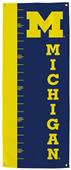 Collegiate Michigan Growth Chart Banner Collegiate Michigan Growth Chart Banner