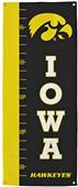 Collegiate Iowa Growth Chart Banner Collegiate Iowa Growth Chart Banner