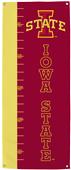 Collegiate Iowa State Growth Chart Banner Collegiate Iowa State Growth Chart Banner