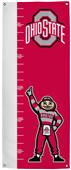 Collegiate Ohio State Growth Chart Banner Collegiate Ohio State Growth Chart Banner