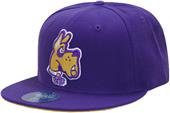 WRepublic Albany Univ Freshman Fitted College Cap WRepublic Albany Univ Freshman Fitted College Cap
