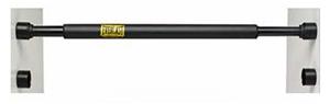 Everlast Chinning/Sit-Up Bars