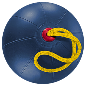 Champion Sports Equipped Medicine Balls