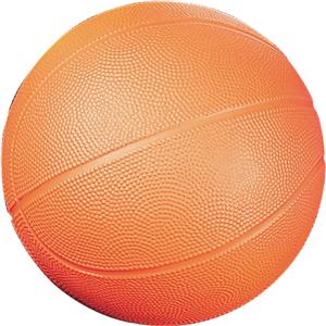Champion Sports High Density Foam Basketballs
