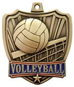 Hasty Awards 2.5" Shield Volleyball Medals Hasty Awards 2.5" Shield Volleyball Medals