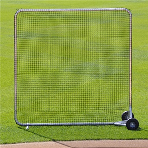 Baseball Big League Fungo Protector Screens