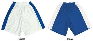 Stock Dazzle Basketball Shorts With Panels