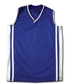 Fit 2 Win Women's Virginia Home or Away Jerseys