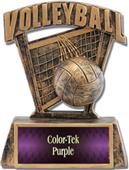 Hasty Awards ProSport 6" Volleyball Resin Trophies Hasty Awards ProSport 6" Volleyball Resin Trophies