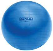 Champion Fitpro BRT Training & Exercise 16.5" Ball Champion Fitpro BRT Training & Exercise 16.5" Ball
