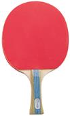 Champion Table Tennis Paddles Rubber Face - 7 Ply