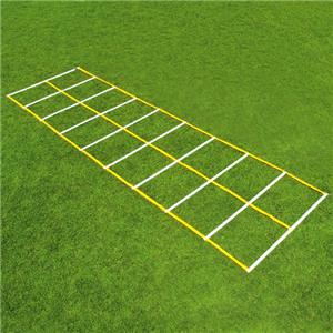 Fisher 15' Double Speed Ladders