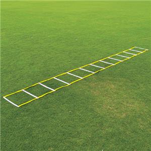 Fisher 20' Single Speed Ladders