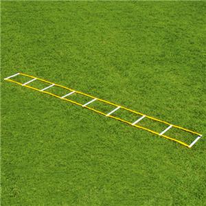 Fisher 12' Single Speed Ladders