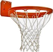 Bison Rear Mount Double-Rim Goal w/No-Tie Netlocks