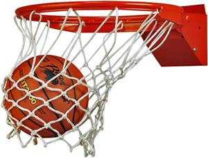 Bison ReAction Tension Breakaway Basketball Goal